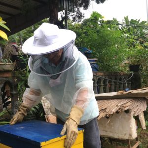 Mật ong Hòa Bình sản xuất tại huyện Đà Bắc