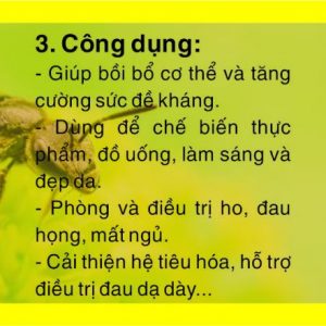 Mật ong Hòa Bình sản xuất tại huyện Đà Bắc