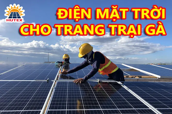 Điện mặt trời cho trang trại nuôi gà